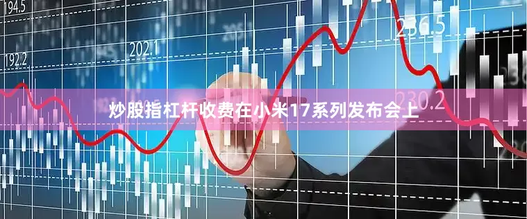 炒股指杠杆收费在小米17系列发布会上